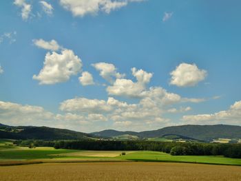 Sommerspezial - Bayerischer Wald