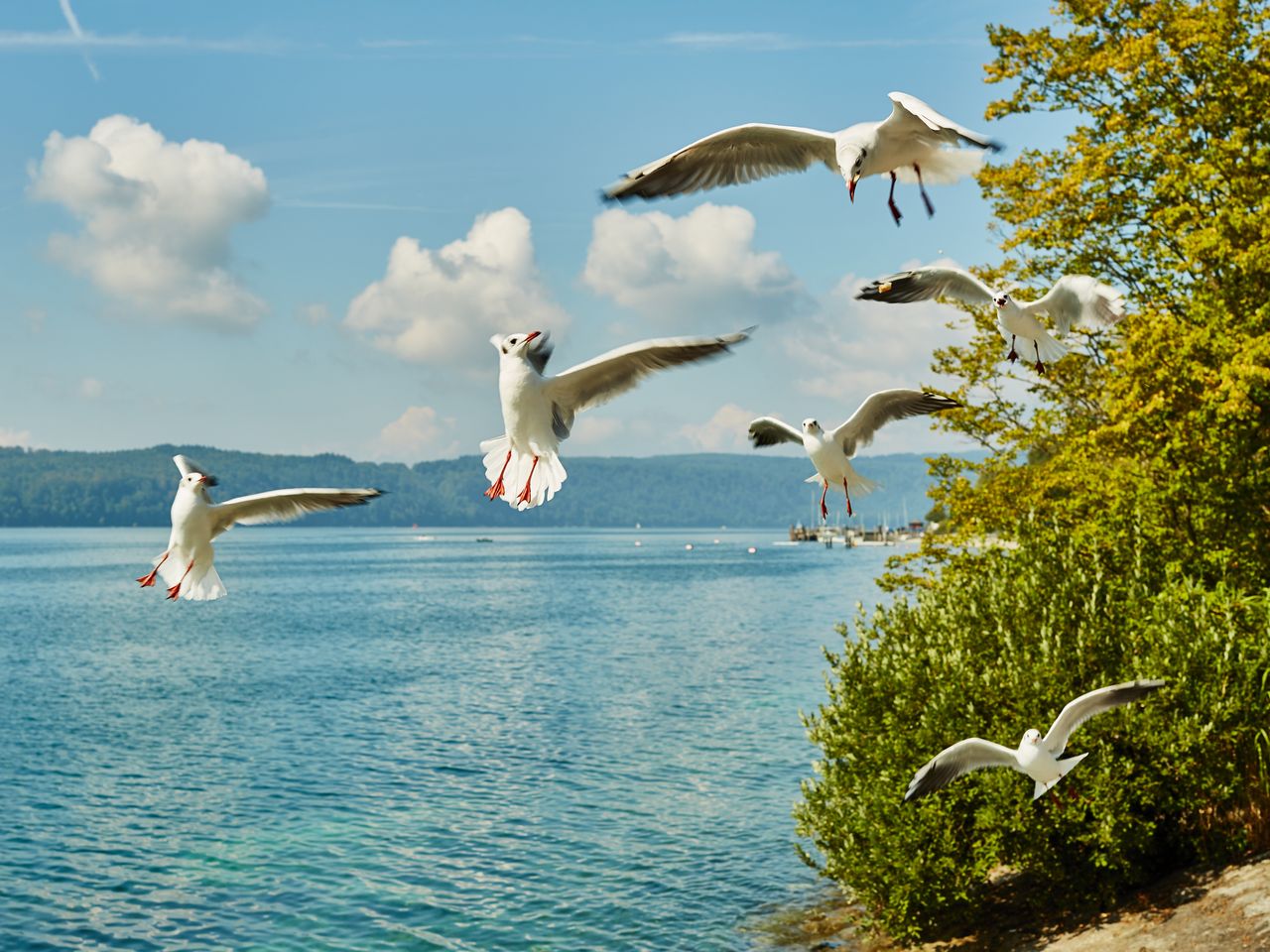 Bodensee & Vorarlberg entdecken - 4 Tage Kurzurlaub