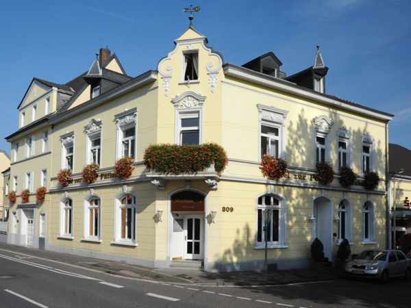 Picknick am Rhein in Bonn Halbpension...