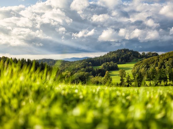 Bayerischer Wald für Individualisten / 4 Tage in Zwiesel, Bayern inkl. Frühstück