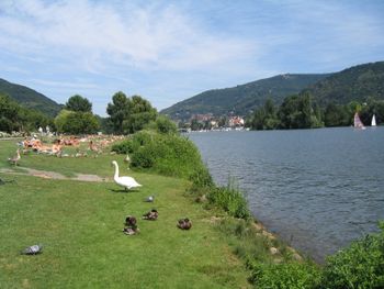 8 Tage Aktiv-Urlaub in Heidelberg und der Kurpfalz