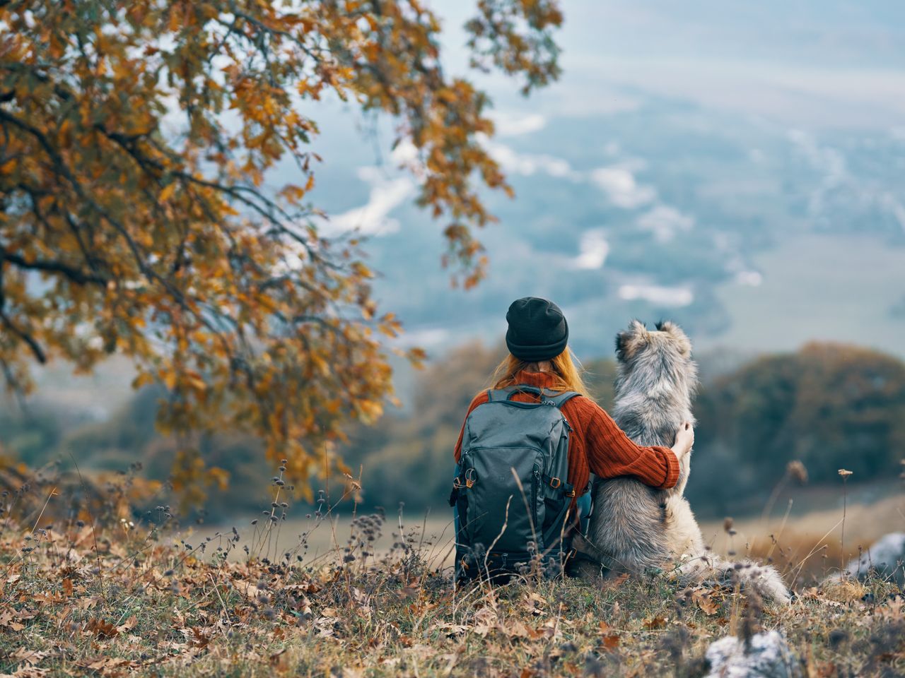 Tierisches Vergnügen-Bergferien mit Hund / 4 Tage ÜF