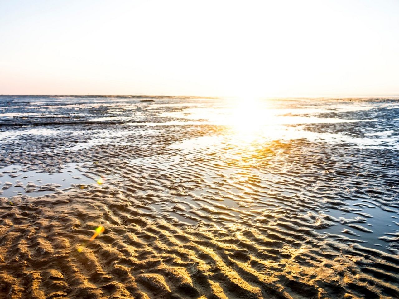 Rømøurlaub direkt am Wattenmeer