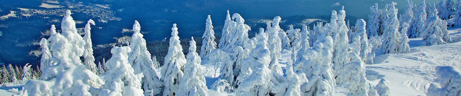 Schneeschuhwandern im Bayerischen Wald