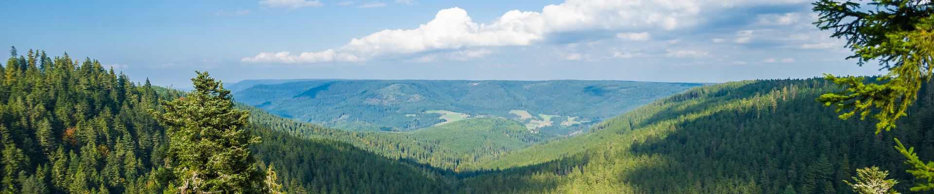 Kurzurlaub Im Schwarzwald Zu Top Preisen Kurz Mal Weg De