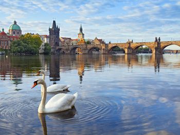 Verzaubert in Prag - 4 Tage inkl. Schwarzlichttheater