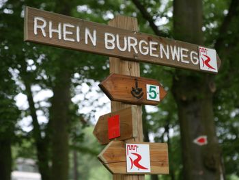 8 Tage Erholung im Tal der Loreley