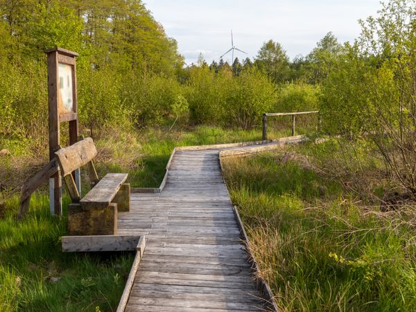 2 Tage Ihr Wunsch nach Zweisamkeit - 2 Nächte für Verliebte! in Hürtgenwald OT Vossenack, Nordrhein-Westfalen inkl. Halbpension