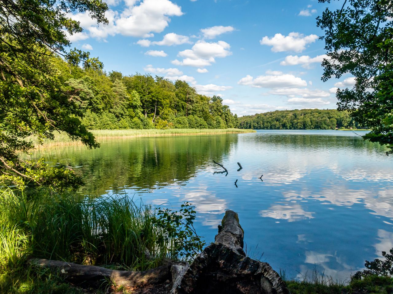 Silvester im Waldhotel Wandlitz