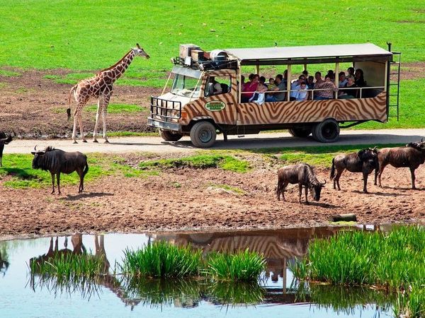 2 Tage Achtung Wild! mit Serengetipark (2 N, HP, Eintritt) in Walsrode, Niedersachsen inkl. Halbpension