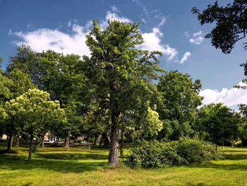 Romantische Tage in Weimar - 2 Nächte