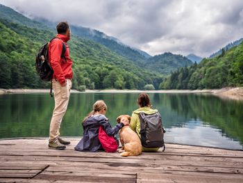 Urlaub mit Hund im Harz -Halbpension Plus