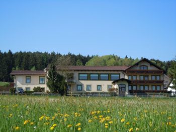 Sommerspezial - Bayerischer Wald