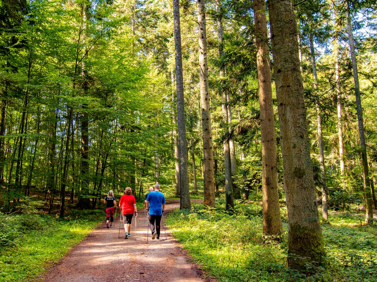 4 Tage Wellnessurlaub im Waldachtal mit Halbpension