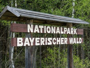 3 Tage Nationalpark mit Wellness und Baumwipfelpfad