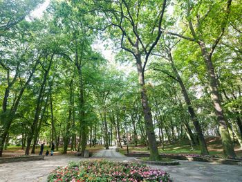 Kurzurlaub Ostsee - Kolberg erleben -5 Tage