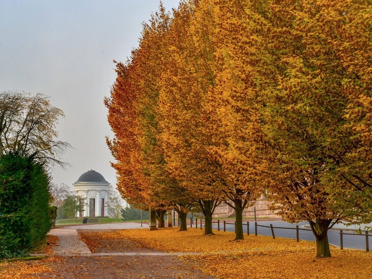Goldener Herbst in Kassel