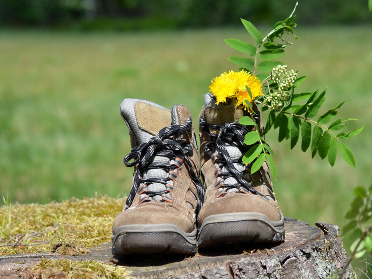 Natur, durchatmen, wandern - Auszeit im Sauerland