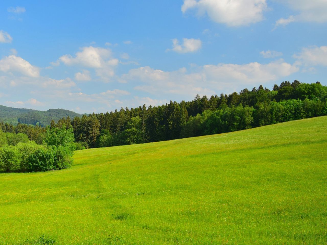 Für Naturliebhaber: 5 Tage Bayerischer Wald mit HP