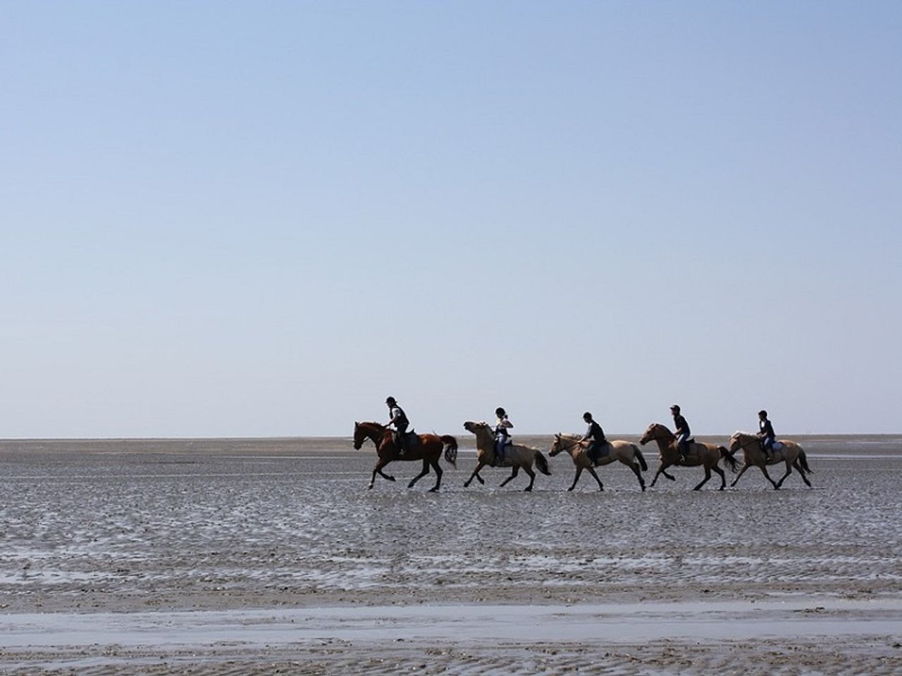 3 Tage Wellnessauszeit an der Nordsee / Halbpension