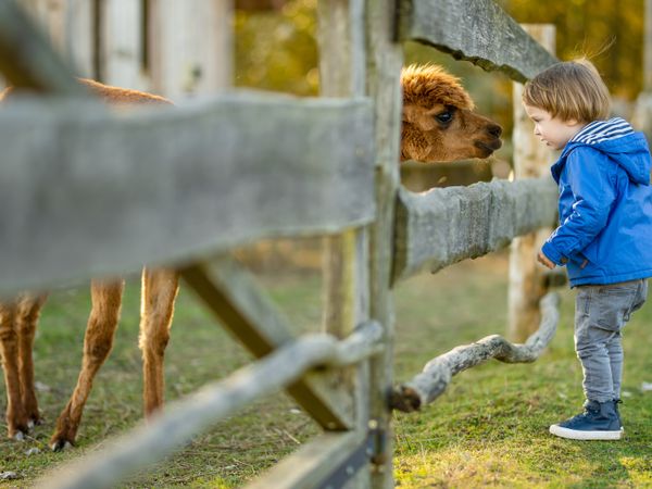 2 Tage Kuscheltage im Waldhotel in Mitwitz, Bayern inkl. Halbpension