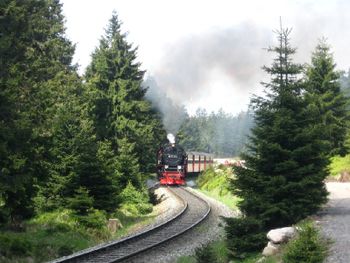 3 romantische Tage am See im Harz