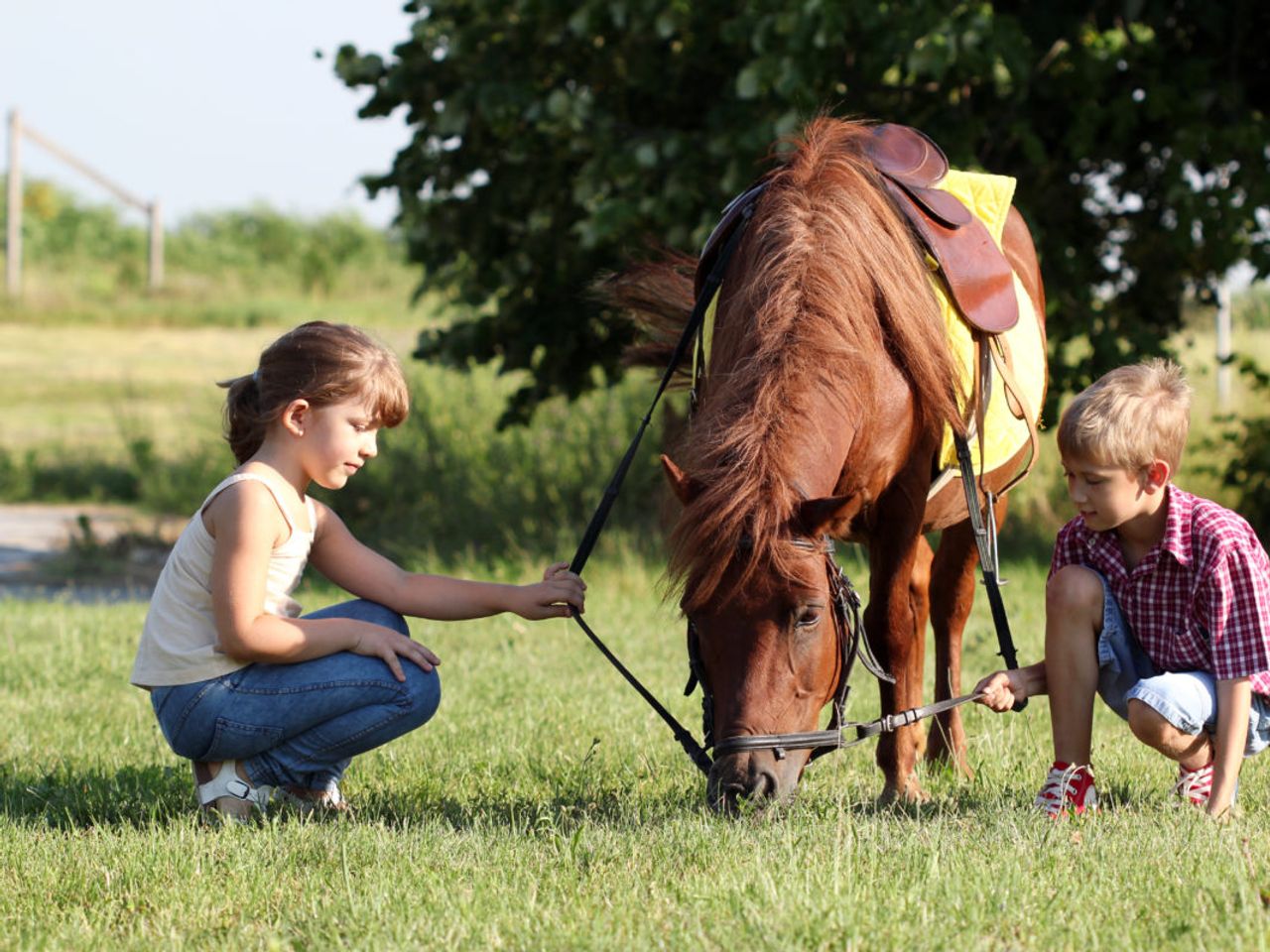 Kurzurlaub mit Reitstunde