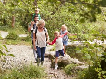 3 Tage Typisch Braunlage: Wanderurlaub im Harz