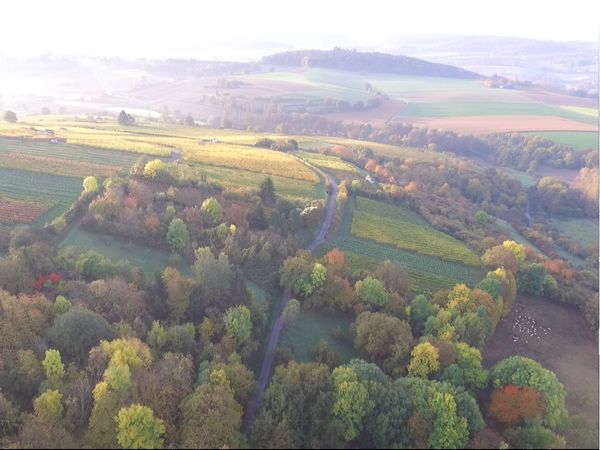 Preisspecial im Odenwald: 4 Tage zum Preis von 3 in Großenlüder, Hessen inkl. Halbpension