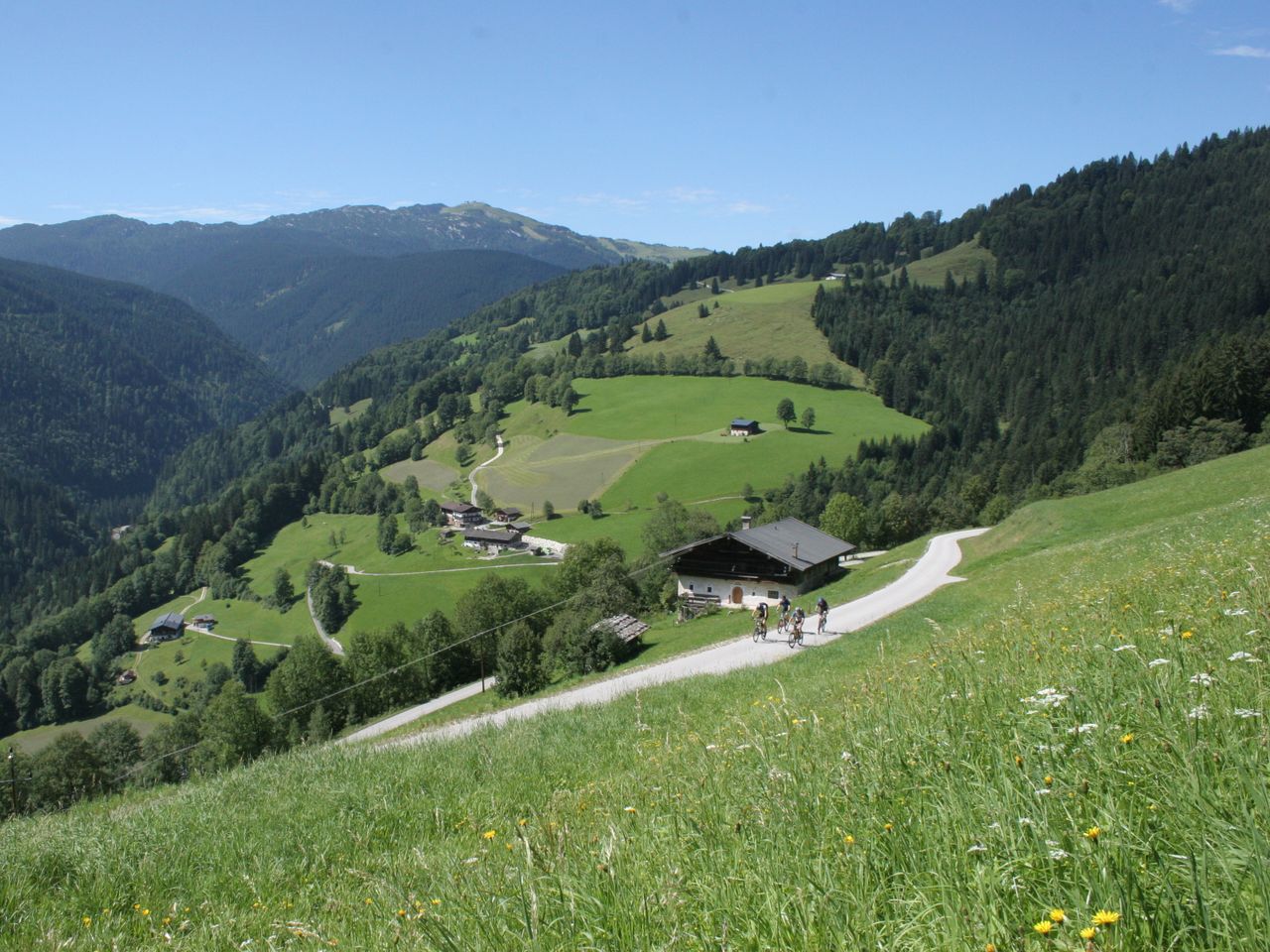 Sommerurlaub im Salzburger Saalachtal