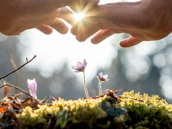 2 Tage Beauty-Zeit im Schwarzwald! in Waldachtal, Baden-Württemberg inkl. Halbpension