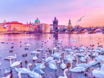 Prag zu Land und zu Wasser - 5 Tage