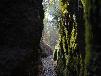 Entdeckertrip in die Wartburgstadt Eisenach - 2 Tage