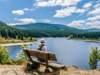 4 Tage .... Natürlich Harz