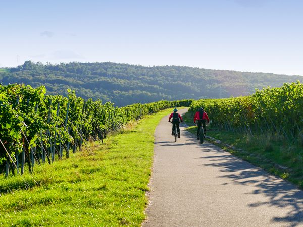 3 Tage Wandern und Biken in Boppard, Rheinland-Pfalz inkl. Halbpension
