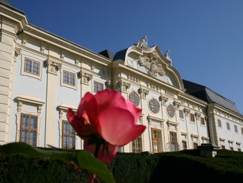 Wohnen im Schloss Halbturn - 4 Tage mit HP