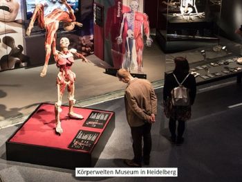 Kurz-mal Heidelberg mit Körperwelten Museum - 3 Tage