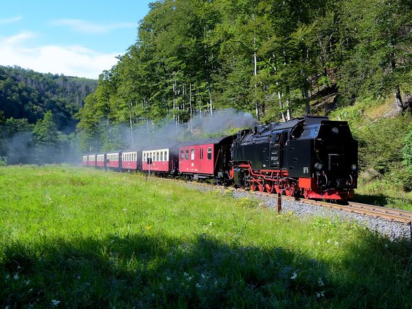 4 Tage Natur pur  inkl. Bahnfahrt auf den Brocken in Oberharz am Brocken -  Sorge, Sachsen-Anhalt inkl. Halbpension