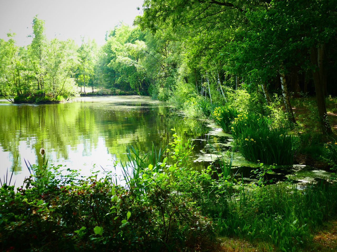 Romatische Rosentage in der Heide inkl. 4-Gang-Menü