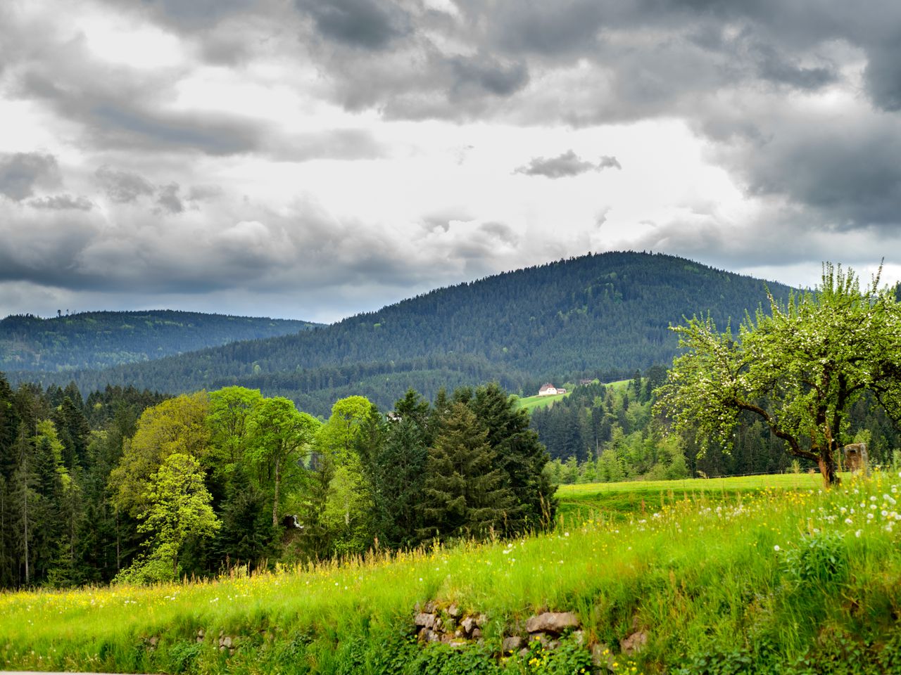 Tapetenwechsel Schwarzwald-Einfach was anderes sehen