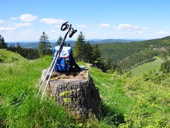 Kleine Auszeit im Thüringer Wald