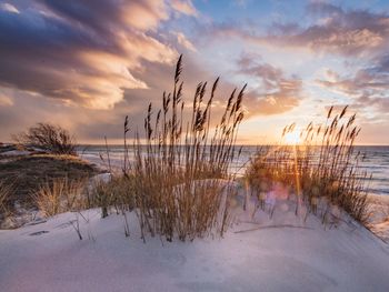 3 Tage Kurzurlaub in Stralsund mit Rückenmassage