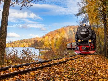Quedlinburg entdecken - 3 Tage mit Selketalbahn-Fahrt