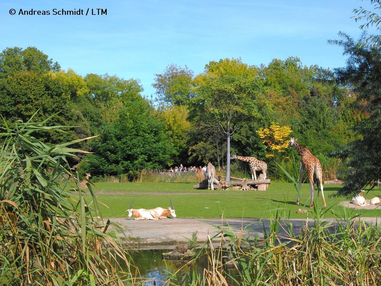 LOGINn & enjoy @ Zoo Leipzig! (1ÜN) inkl. Tagesticket