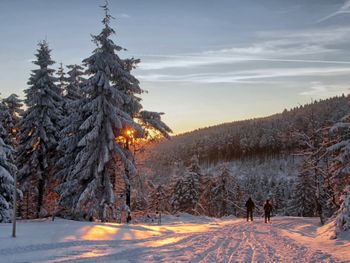 Rennsteig Schnupperzeit - 7 Tage