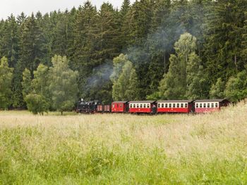 Für Kulturliebhaber - 4 Tage inkl. Menü in 3 Gängen