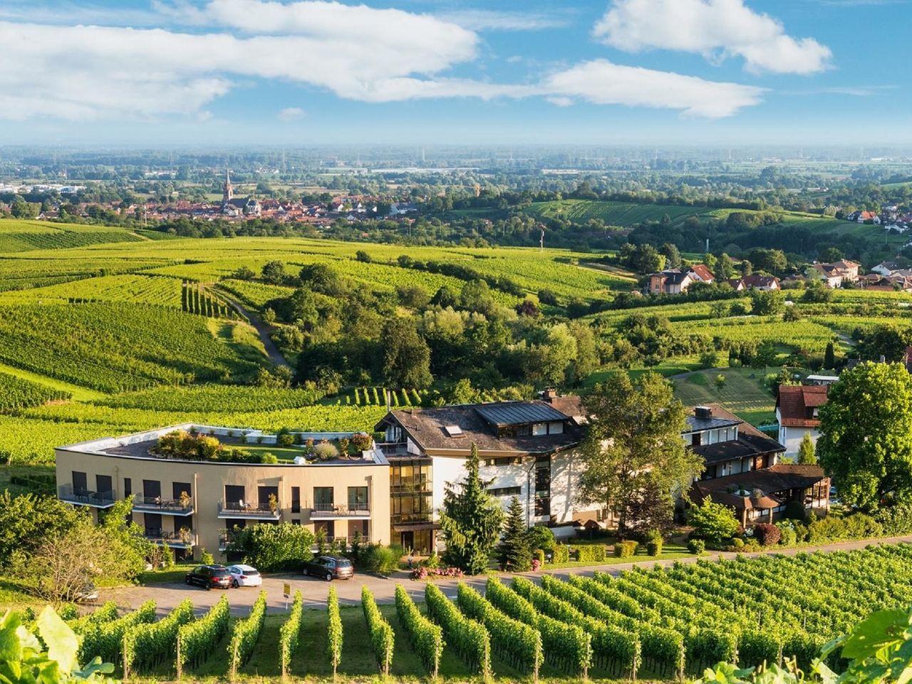 Weinschmecker im Baden-Badener Rebland - 6 Tage