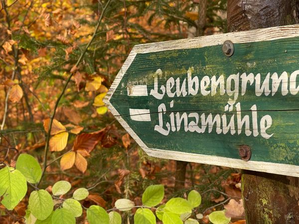 2 Tage www.wochentags weg in den Wald in Kahla, Thüringen inkl. Frühstück