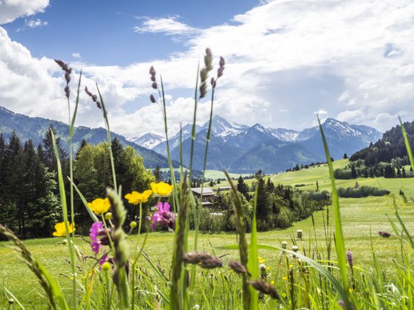 5 Tage Genuss im kleinen Ferienparadies – 5 Nächte in Mayrhofen, Tirol inkl. Halbpension