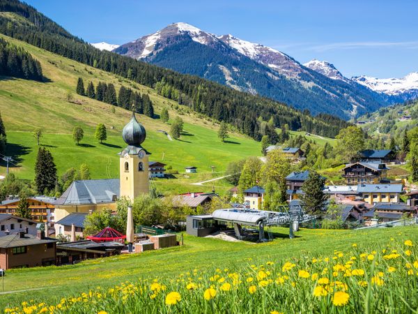 6 Tage Alpenwelt genießen im Hotel Alphof in Fulpmes, Tirol inkl. Halbpension